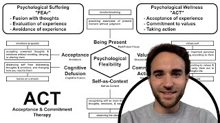 Acceptance amp Commitment Therapy Overview [upl. by Ahsyla]