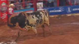 Final rodeio de Colorado  PR 2014 com Almir Cambra [upl. by Carissa185]