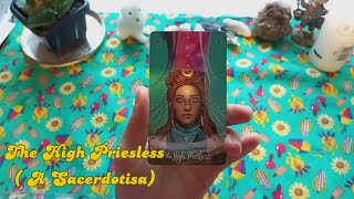 Curso de Tarot Intuitivo  Arcanos Maiores  A Sacerdotisa baralho Videntes da Luz [upl. by Ainesell514]