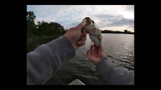 Beck Lake Fishing firsts becklake largemouth warmouth fishing [upl. by Aivyls]