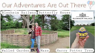 Blenheim Palace  Harry Potter Tree  Maze  Butterfly House  Walled Garden  Blenheim Railway [upl. by Florina]