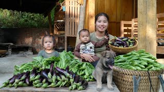 Harvest green vegetables and eggplants to sell at the market  cook with your children [upl. by Ormand]