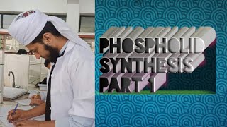 Phospholipid synthesis part 1  phosphatidic acid [upl. by Niuqram]