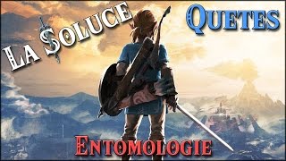 ENTOMOLOGIE  QUETES  ZELDA BOTW [upl. by Llenrag]