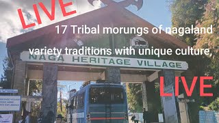 HORNBILL Live 17 Tribal morungs of Nagaland  Nzan yanthan [upl. by Ikairik]