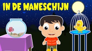 Nederlandse kinderliedjes  In de maneschijn  29 min [upl. by Wickham]