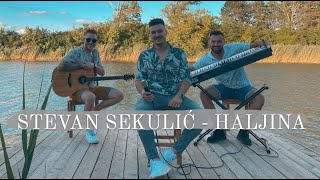 STEVAN SEKULIC  HALJINA COVER 2022 [upl. by Solitta]