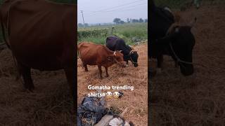 Gomatha trending shorts ytshort ytviral [upl. by Esther]