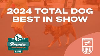 Total Dog Best in Show at 2024 UKC Premier Nationals [upl. by Dulcy]