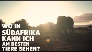 Wo in Südafrika kann ich am besten Tiere sehen [upl. by Kinnard]