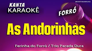 🎤karaokê AS ANDORINHAS forró  Ferinha do forró  Trio Parada Dura [upl. by Ahsiyk]