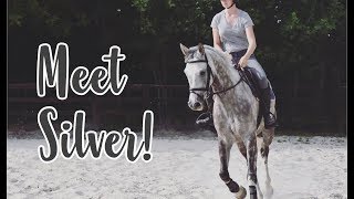 MEET SILVER  National Training Clinic Vlog 1 [upl. by Naired]