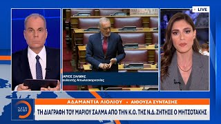 Τη διαγραφή του Μάριου Σαλμά από την ΚΟ της ΝΔ ζήτησε ο Μητσοτάκης  Ethnos [upl. by Aleil]