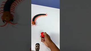 Tipmant Realistic Large Size RC Centipede Scolopendra viral toys trending shortsvideo [upl. by Tunk]