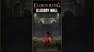 Illusory Wall inside Sainted Heros Grave in Elden Ring [upl. by Skolnik]