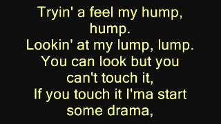 black eyed peas my humps lyrics [upl. by Moreville]