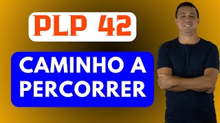 PLP 42  POR ONDE TEM QUE PASSAR ATÉ VIRAR LEI Veja nesse vídeo o caminho a ser percorrido [upl. by Connelley]