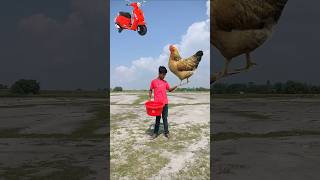 Flying crying babies scooter forg lizard amp parrot catching vs hen 😄 shortsfeed shorts [upl. by Araem94]