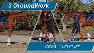 The three quick groundwork exercises WILL relax and focus your horse [upl. by Nishom]