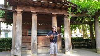 Casey Bloom performs Scarlet Begonias at Grosvenor Square London UK mandolin [upl. by Banna869]