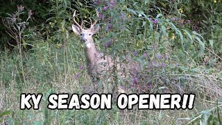 CRAZY OPENING WEEKEND IN KY Ryder takes a shot at a buck from the blind [upl. by Acinhoj290]