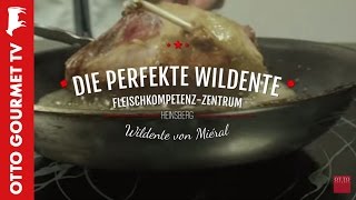 Wildente perfekt zubereiten [upl. by Brower]