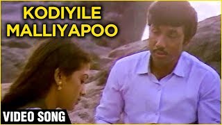 Kodiyile Malliyapoo  Video Song  Kadalora Kavithaigal  Sathyaraj Rekha  Ilaiyaraaja Hits [upl. by Jamey622]