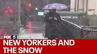 NYC snow How are New Yorkers dealing with the storm [upl. by Mcwherter359]