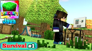 Lokicraft Java Edition Survival  Part 1  LOKICRAFT HELPER LIVE [upl. by Asinla215]