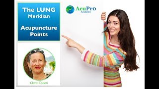 The LUNG Meridian Acupuncture Points [upl. by Mulry480]