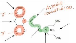 Farmacoquímica del sistema nervioso autónomo Control de Colinérgicos y adrenérgicos [upl. by Nitsej]