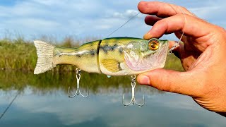 Making a LargeMouth Bass Wedge Nose Glidebait [upl. by Adnaloy371]