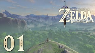 Detonado Completo 100 Zelda Breath of the Wild 1  ACORDE LINK [upl. by Gery701]