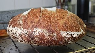 How to Make Sourdough Bread by Feel No Recipe [upl. by Leval662]