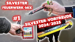 SILVESTER FEUERWERKMIX 1🎆 SILVESTER VORFREUDE 20242025😍 [upl. by Robina769]