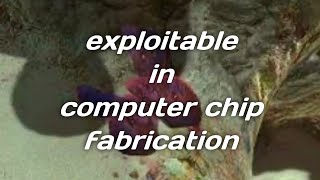 exploitable in computer chip fabrication [upl. by Norm]