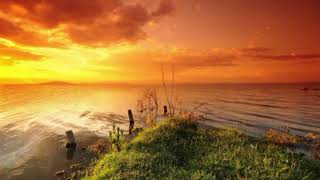 Soft Piano amp Nature Sounds  Calm Background Music for Focus amp Study [upl. by Elton]