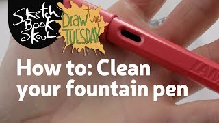 How to clean your fountain pen [upl. by Phaidra691]