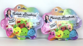 10 Tuesday Moriah Elizabeth Mystery Hanger Plush Blind Bags ✨ Opening amp Review [upl. by Dorcy]