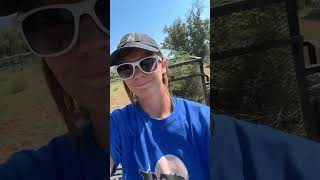 Life Update horsewoman horsemom newjob lifeupdate horsecare mustangmom equestrian [upl. by Nordek224]