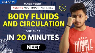 Body Fluids and Circulation Class 11  Biology  For NEET  Full Revision In 20 Minutes [upl. by Ennaerb]