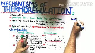 thermoregulation in animals class 12 mechanism of thermoregulation in animals in hindi and urdu [upl. by Woody]