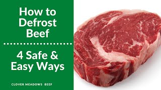 Defrosting Meat  4 Safe Fast amp Easy Ways  How to defrost ground beef  How to thaw steak [upl. by Jovia152]