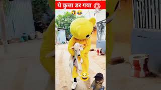 Doggy Ki Shararat Dekho Mazze Lo 🐕🤣quot comedy shorts funny ytshorts [upl. by Cirdor157]