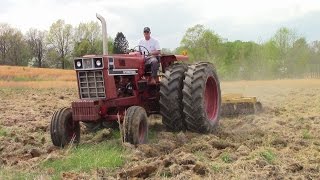 1976 International 1466 Black Stripe Tractor [upl. by Ateekram167]