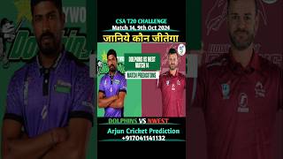 Dolphins Vs North West Dragons CSA T20 Challenge 2024 Match 14 Prediction  csat20 dolVsNwest [upl. by Felton191]