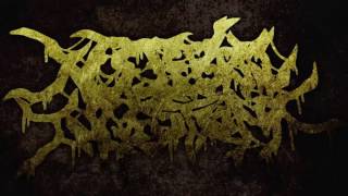 xCEREBRALINGESTIONx  Bathed in Placental Blood NEW SONG 2016 HD [upl. by Fasa]