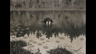 Theodor Kittelsen [upl. by Omidyar]