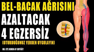 OTURARAK BEL KALÇA AĞRISINI AZALTACAK 4 EGZERSİZ aktifizyo fiziktedavi belağrısı fıtıktedavisi [upl. by Kale]