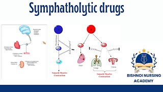 Symphatholitic drugs antihypertensive drugs in pharmacology [upl. by Eteragram]